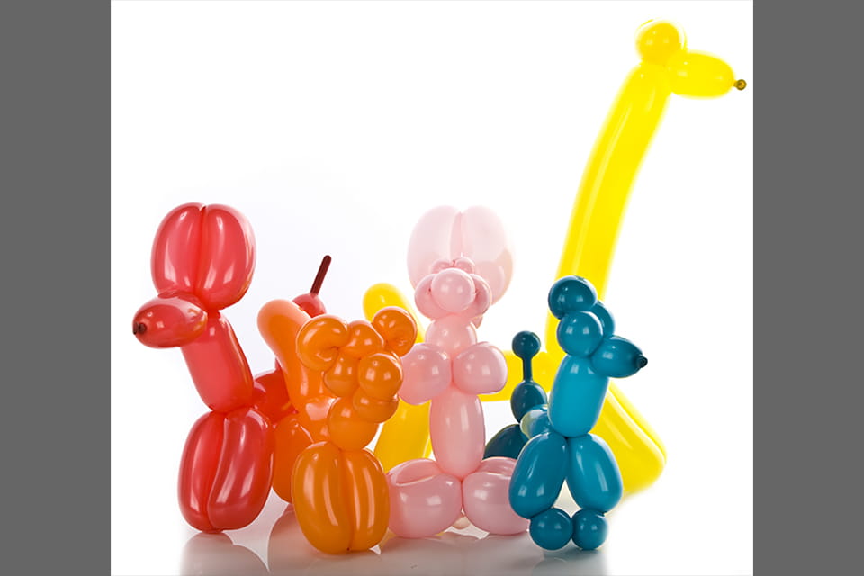 Balloon Sculpting