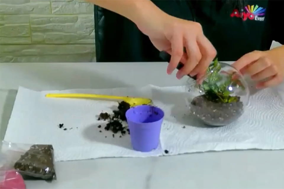 DIY Terrarium